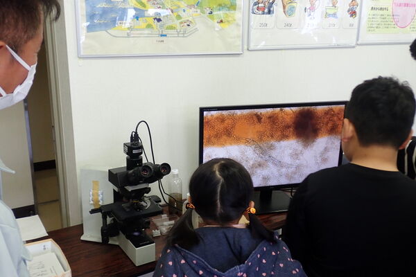 水質試験体験（微生物）