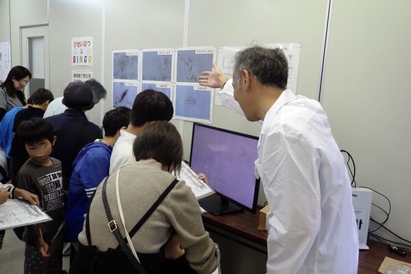 顕微鏡ビンゴの様子